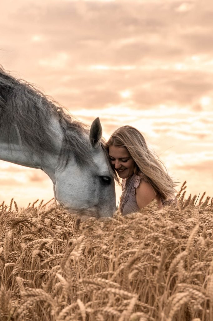 paardenfoto's graan Daphnes fotografie