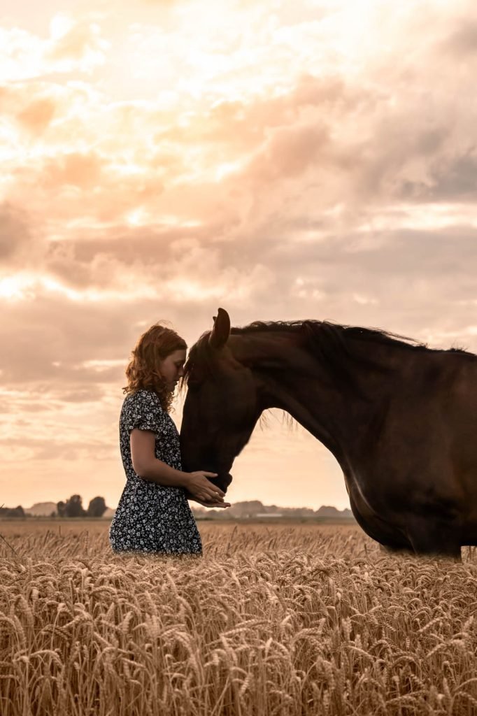 paardenfoto's graan Daphnes fotografie