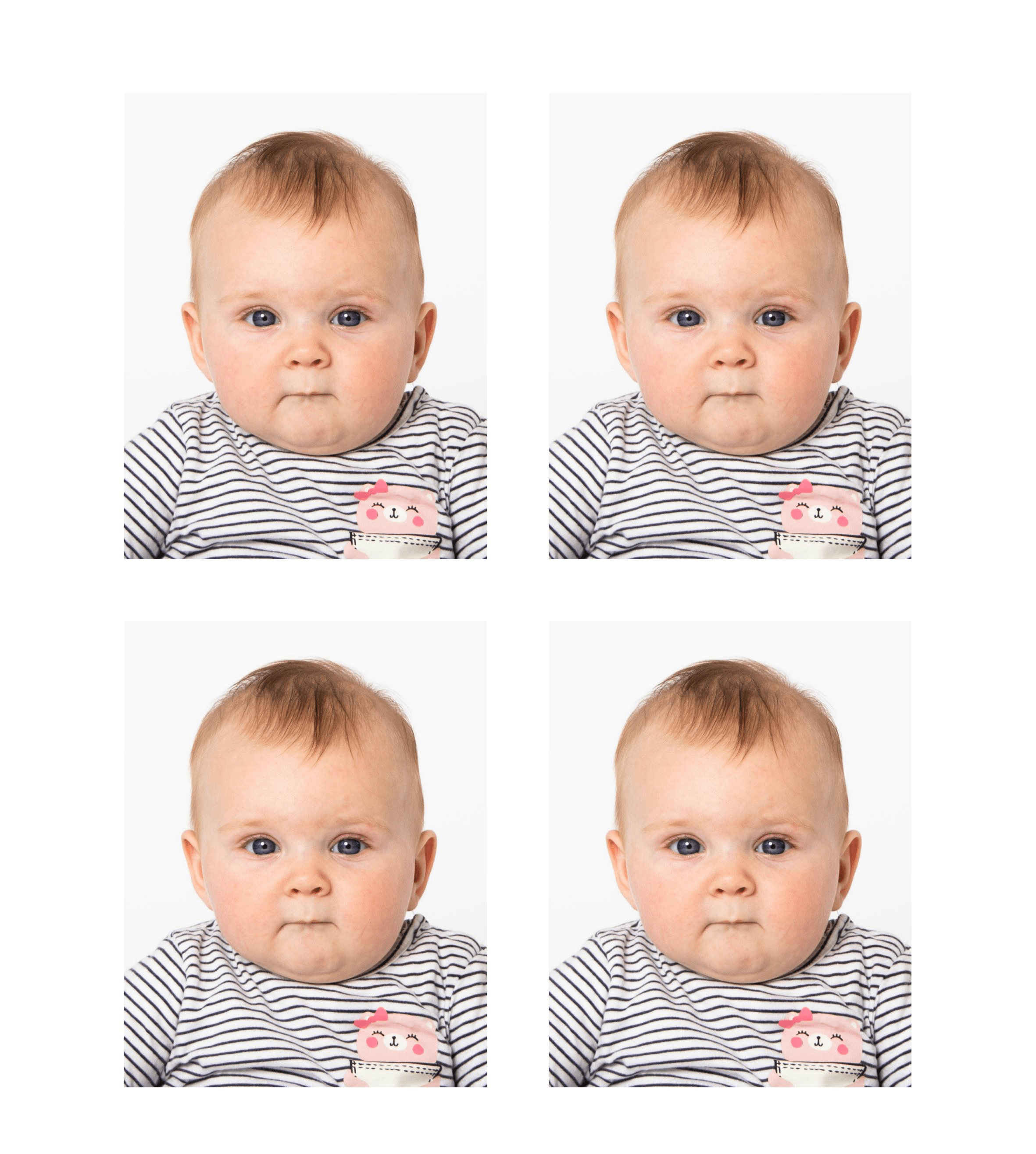 Pasfoto's gemaakt door Daphne's fotografie