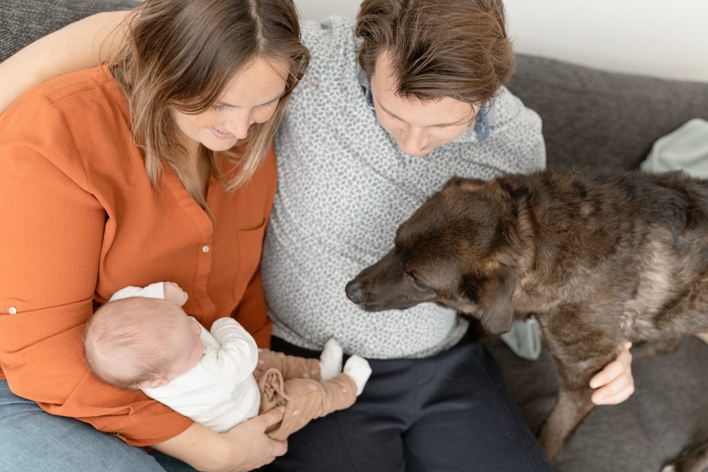 Newborn fotoshoot, Daphnes Fotografie, Zuidland