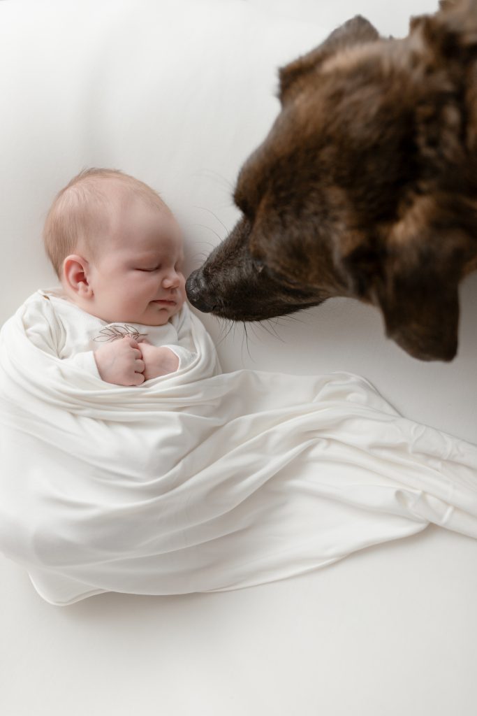 Newborn fotoshoot, Daphnes Fotografie, Zuidland