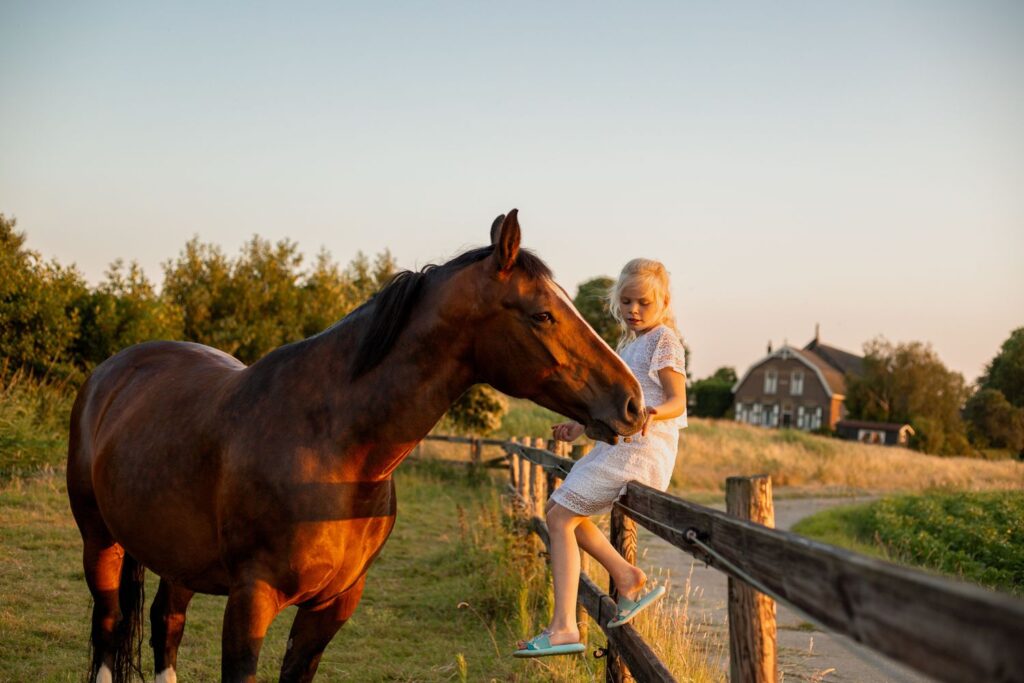 meisje zit op een hek en een bruin paard staat bij haar en die geeft ze een snoepje