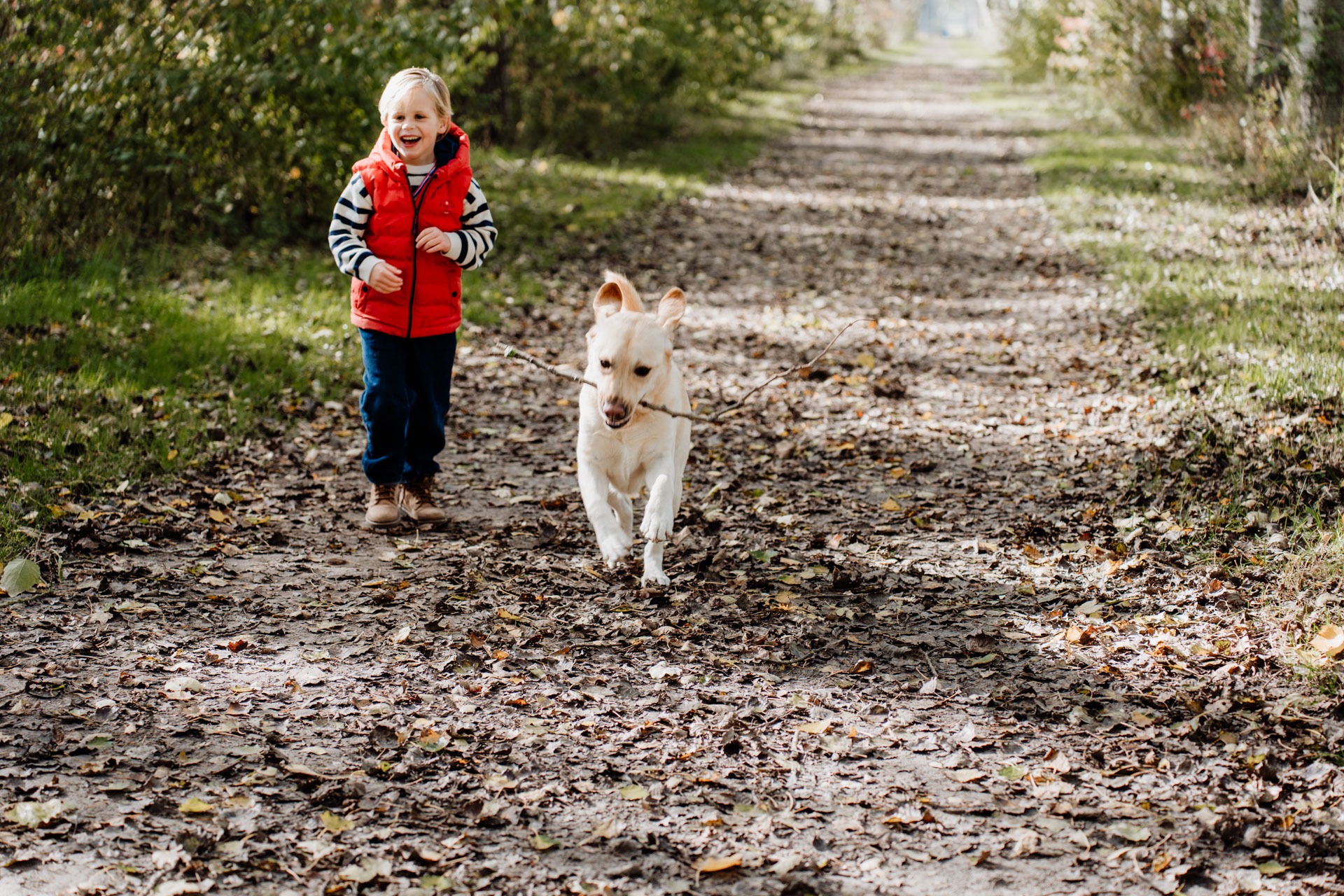 Familieshoot Annabos Rockanje – jongetje loopt alleen over het pad, hond op de achtergrond