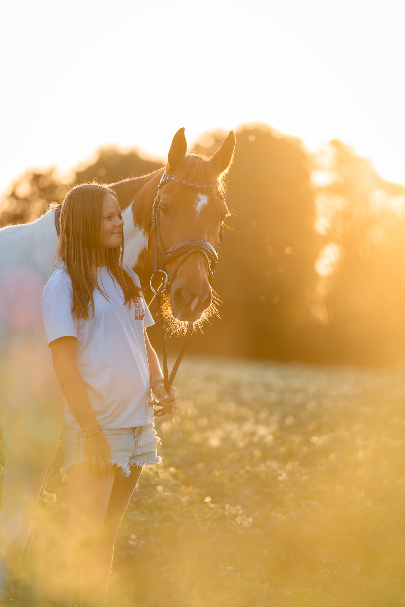 Meisje met haar pony in het veld bij zonsondergang in Tinte